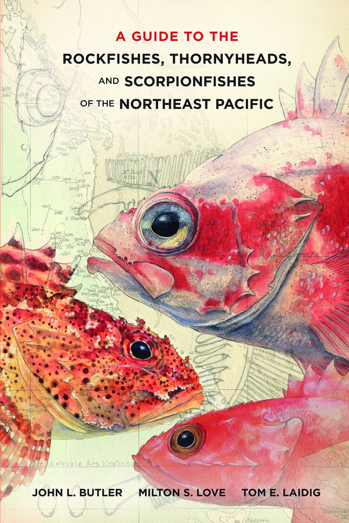 A Guide to the Rockfishes, Thornyheads, and Scorpionfishes of the Northeast Pacific